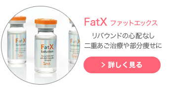 FatX ファットエックス