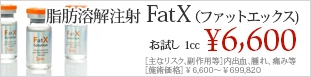 FatX(ファットエックス)