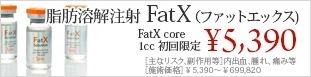 FatX(ファットエックス)