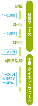 腸内洗浄　2つの施術フェーズ(期間)