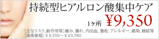 持続型ヒアルロン酸集中ケアプラン