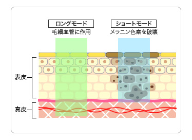 「シミ」と「赤み」に作用するルメッカのしくみ