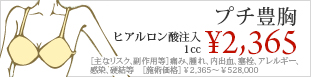 プチ豊胸