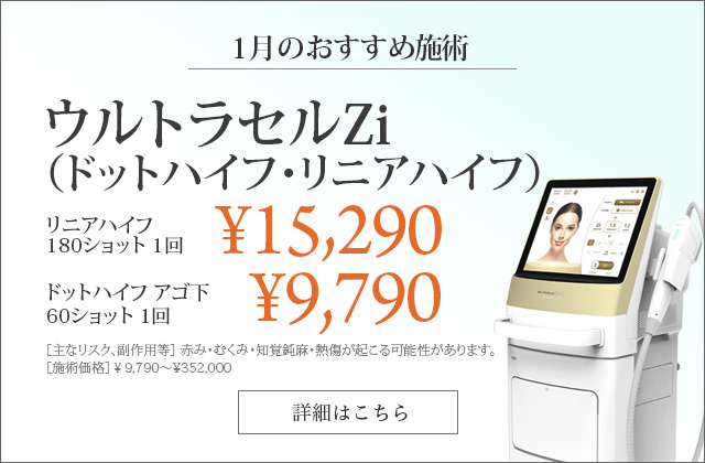 ウルトラセルZi（ドットハイフ・リニアハイフ）