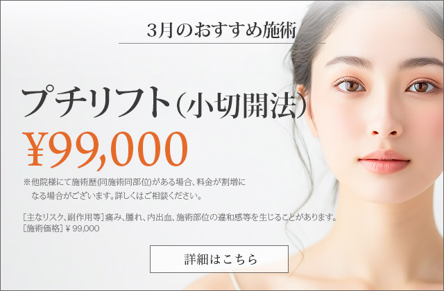 プチリフト（小切開法）