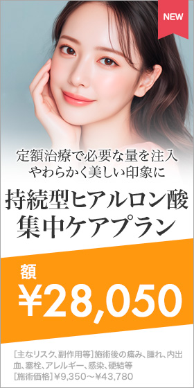 持続型ヒアルロン酸集中ケアプラン